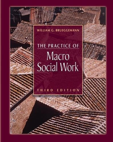 The Practice of Macro Social Work,Used