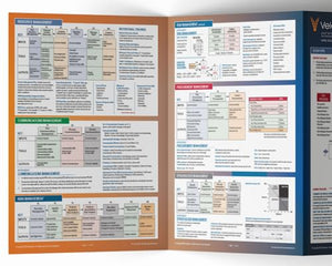 PMP Exam: Quick Reference Guide (Test Prep series),Used