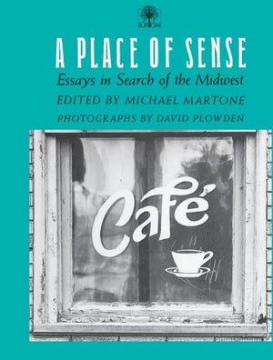 A Place Of Sense: Essays In Search Of Midwest,Used