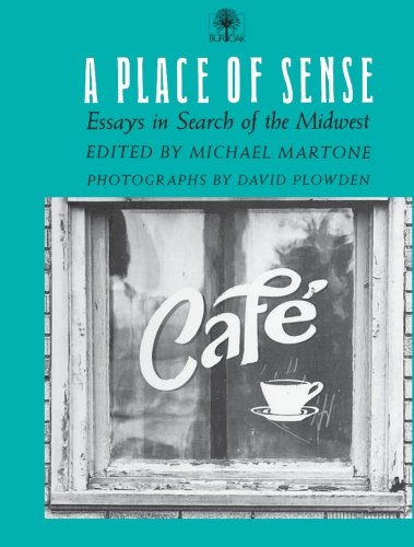 A Place Of Sense: Essays In Search Of Midwest,Used