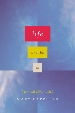Life Breaks In: A Mood Almanack,Used
