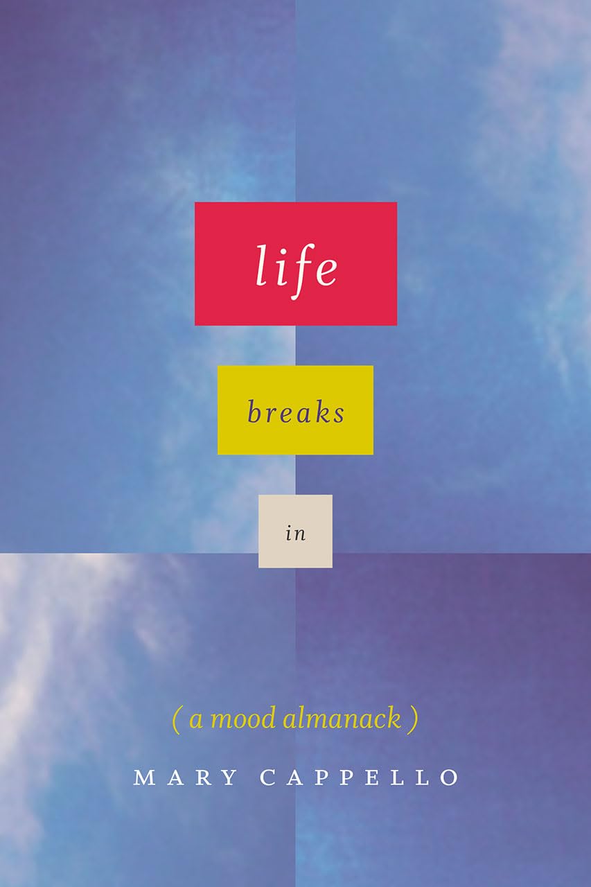 Life Breaks In: A Mood Almanack,Used
