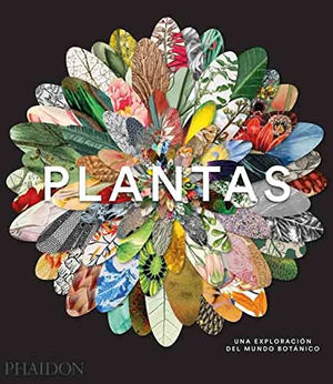 Plantas: Una exploracin del Mundo Botnic (Plant: Exploring the Botanical World) (Spanish Edition)