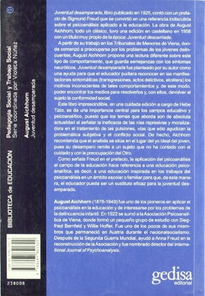 Juventud desamparada (Spanish Edition),Used