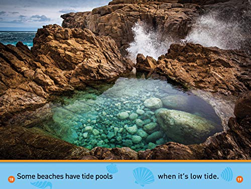 At the Beach (National Geographic Kids Readers, PreReader),Used