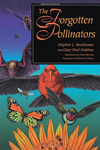 The Forgotten Pollinators,Used