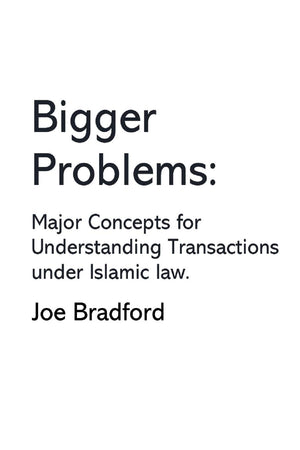 Bigger Problems: Major Concepts for Understanding Transactions under Islamic law,Used
