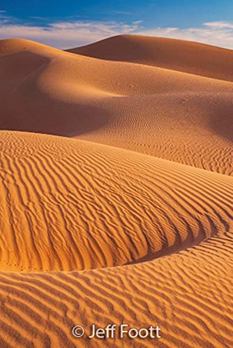 Sierra Club Engagement Calendar 2021,Used