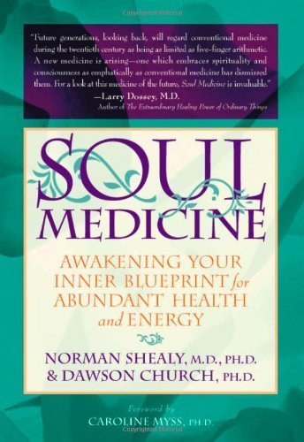 Soul Medicine: Awakening Your Inner Blueprint For Abundant Health And Energy,Used