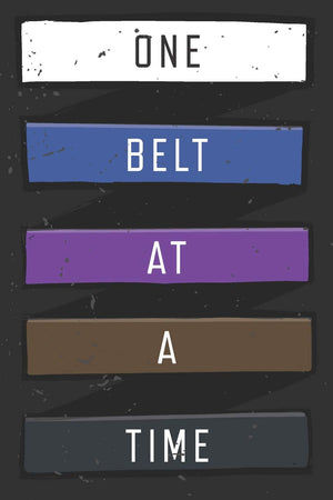 One Belt At A Time: Jiu Jitsu Training Log,Used