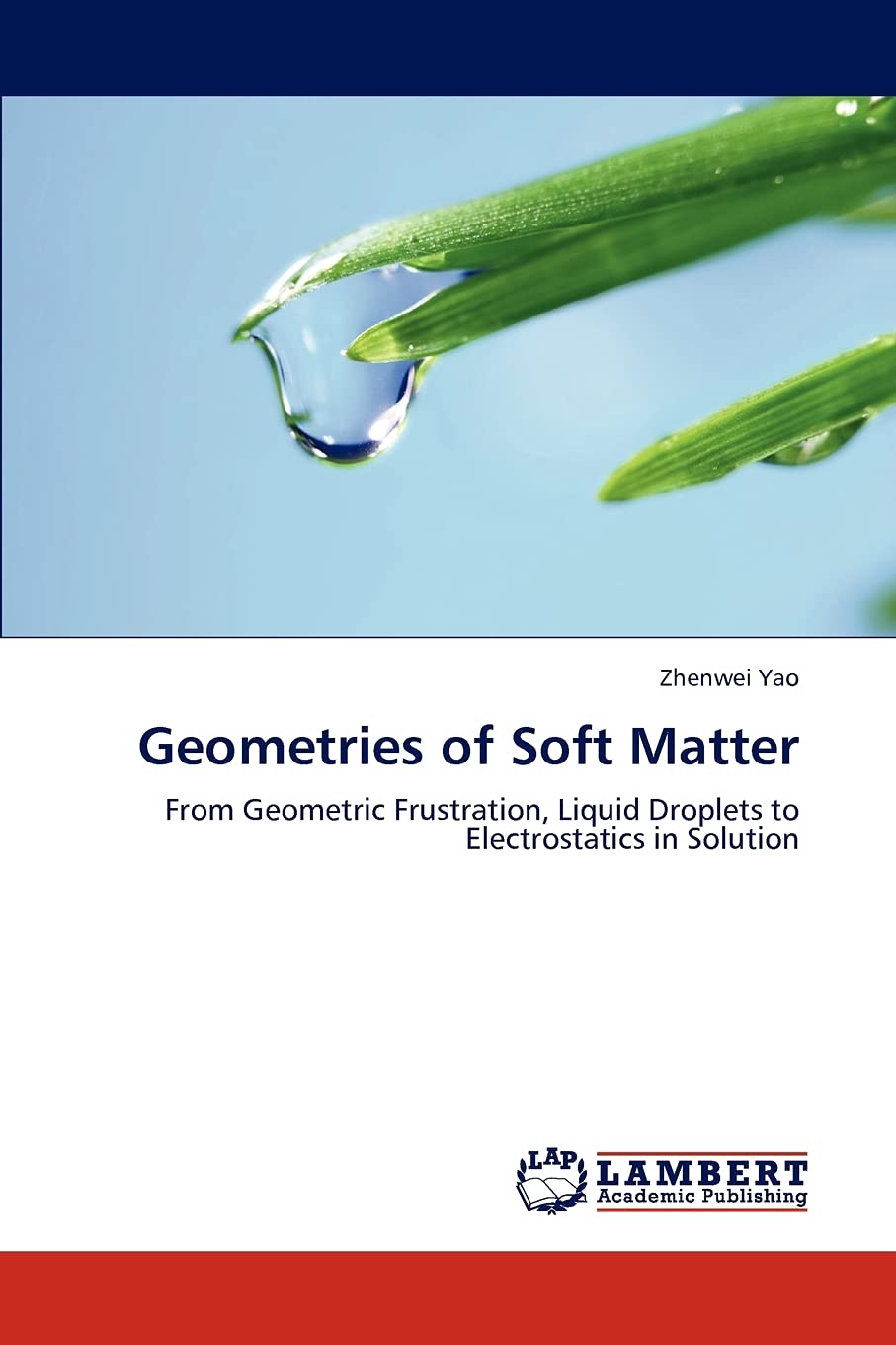 Geometries of Soft Matter: From Geometric Frustration, Liquid Droplets to Electrostatics in Solution,Used