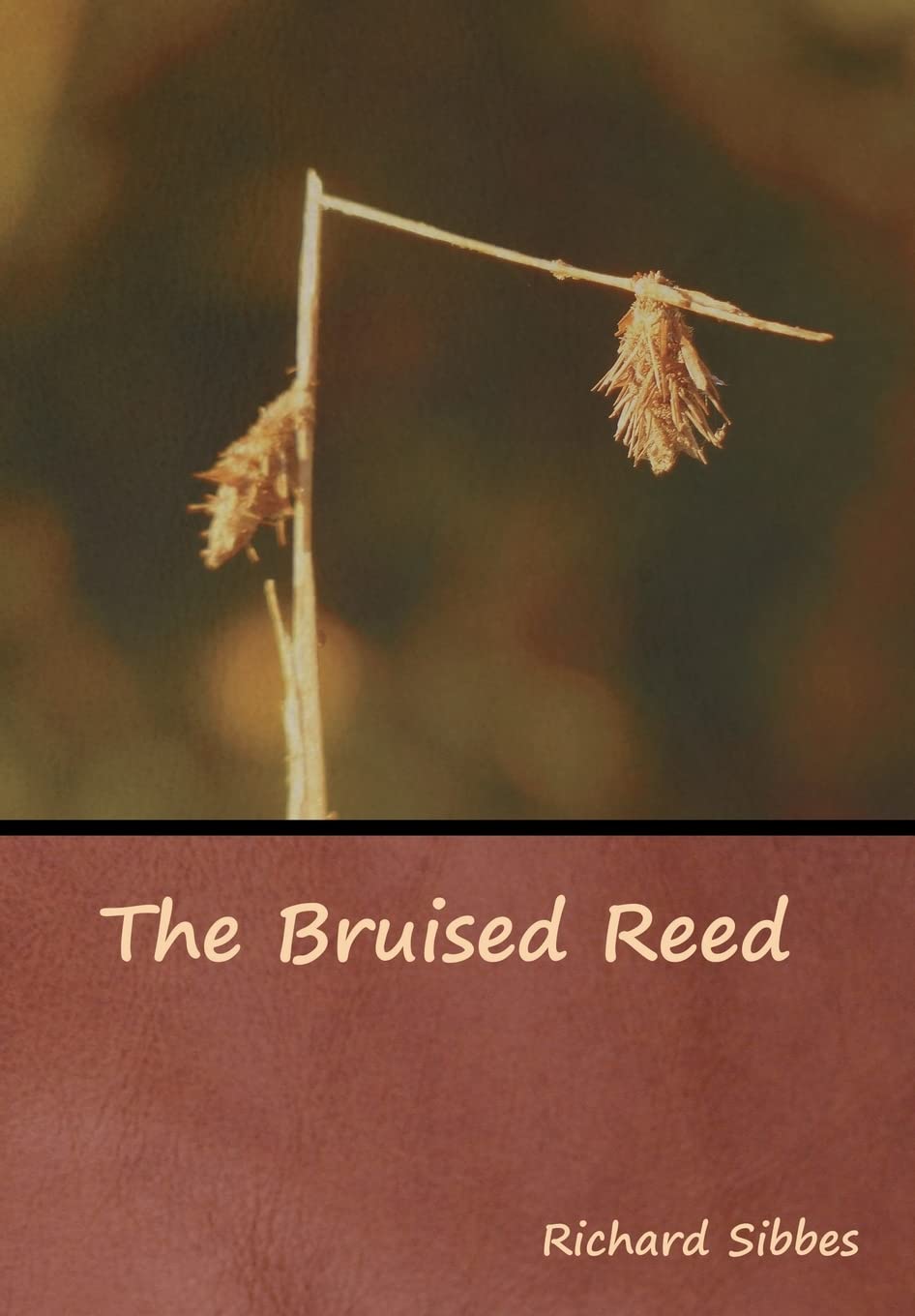 The Bruised Reed,Used