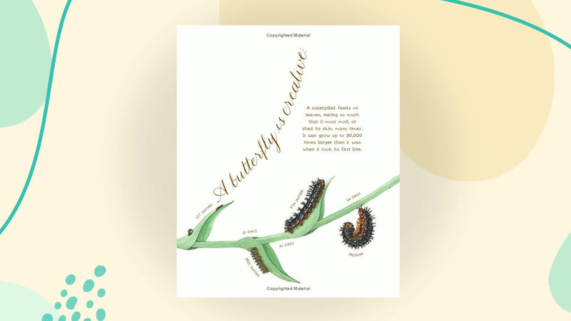 A Butterfly Is Patient (Sylvia Long),New