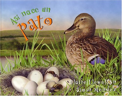 As naceun pato (Starting Life: Duck),Used