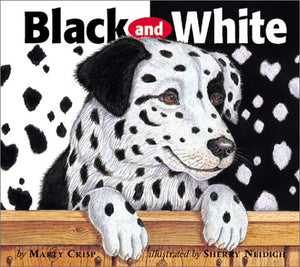 Black and White,Used