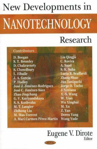 New Developments in Nanotechnology Research,Used