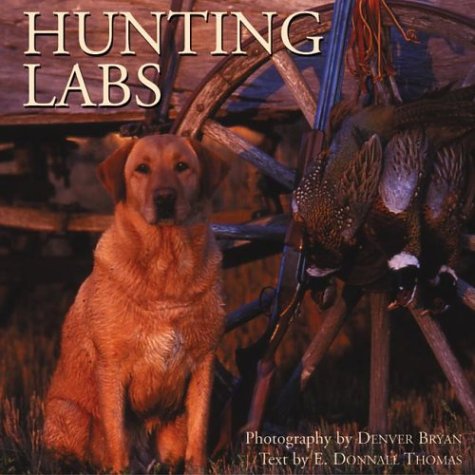 Hunting Labs,Used