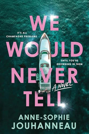 We Would Never Tell: A Novel