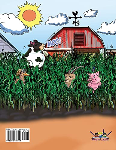 Zoom Boom the Scarecrow and Friends (Zoom Boom Book),Used