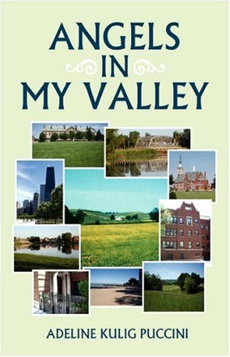 Angels in My Valley,Used