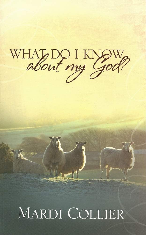 What Do I Know about My God?,Used