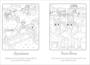 Manes and Tails  Horses and Unicorns (Paint with Water),Used