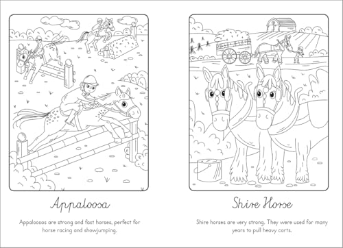 Manes and Tails  Horses and Unicorns (Paint with Water),Used