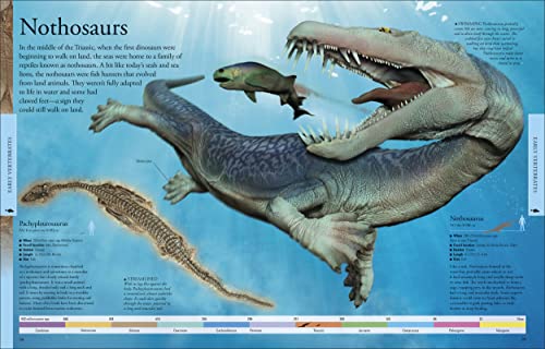 Dinosaurs: A Visual Encyclopedia, 2nd Edition (DK Children's Visual Encyclopedias),New