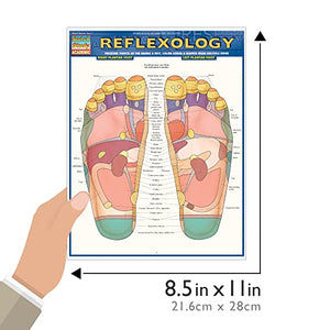 Reflexology QuickStudy Laminated Reference Guide (QuickStudy Academic),Used