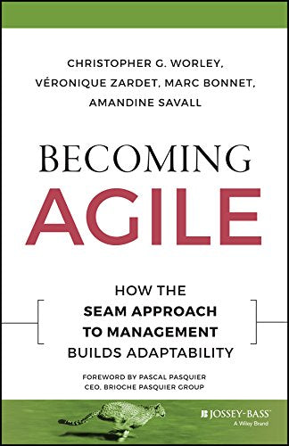 Becoming Agile: How the SEAM Approach to Management Builds Adaptability (JB Short Format Series),Used