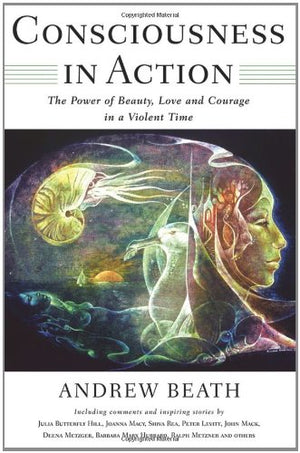 Consciousness In Action: The Power Of Beauty, Love And Courage In A Violent Time,Used