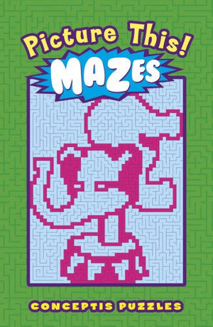 Picture This! Mazes,Used