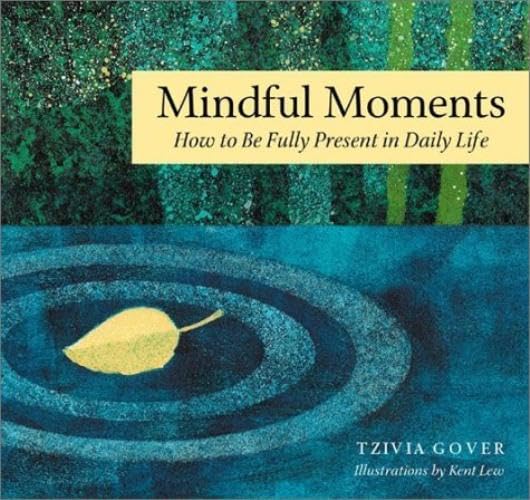 Mindful Moments for Stressful Days: Simple Ways to Find Meaning and Joy in Daily Life,Used