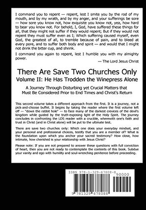 There Are Save Two Churches Only, Volume II,Used