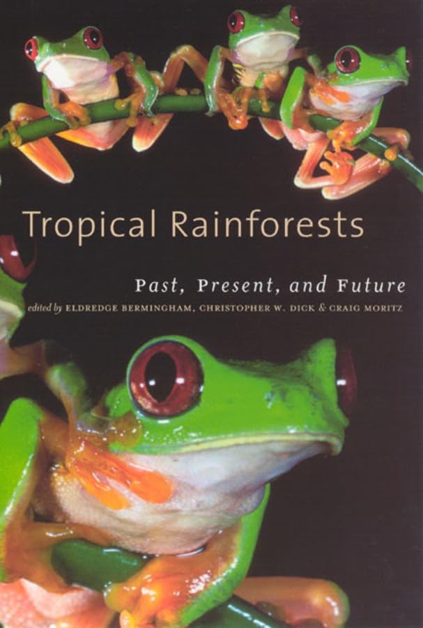 Tropical Rainforests: Past, Present, And Future