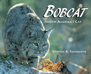 Bobcat,New