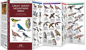 Great Smoky Mountains Birds: An Introduction to Familiar Species (Wildlife and Nature Identification),Used