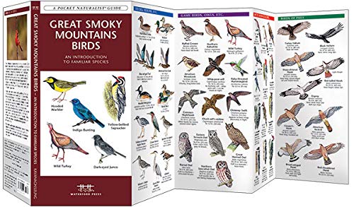 Great Smoky Mountains Birds: An Introduction to Familiar Species (Wildlife and Nature Identification),Used