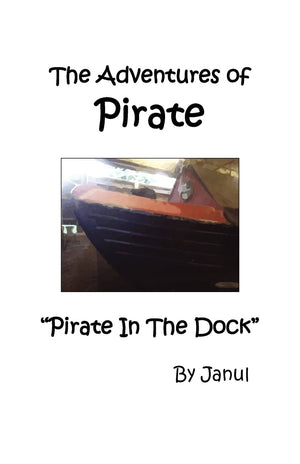 The Adventures Of Pirate  Pirate In The Dock,Used