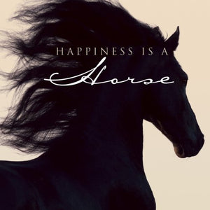 Happiness is a Horse,Used