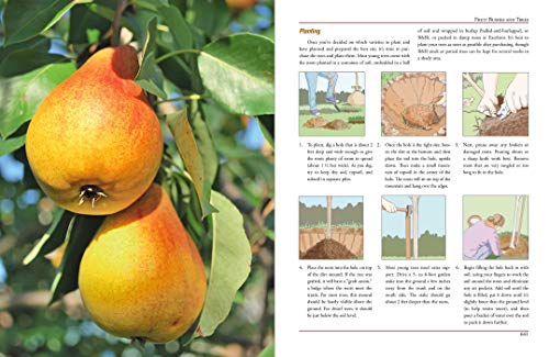 The Illustrated Encyclopedia of Country Living: Beekeeping, Canning and Preserving, Cheese Making, Disaster Preparedness, Fermen,Used