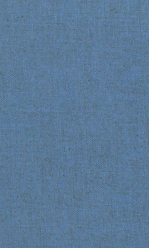 The Greek Prothetic Vowel (Society for Classical Studies Philological Monographs),Used