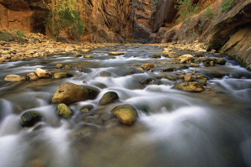 River Wild: An Activity Guide to North American Rivers,Used
