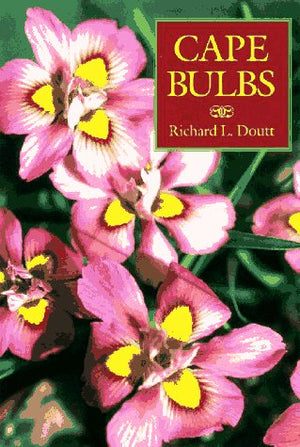 Cape Bulbs,New