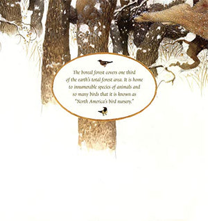 Life In The Boreal Forest