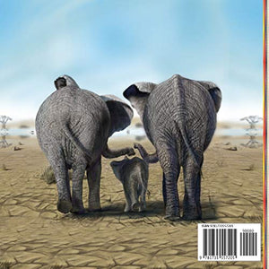 The Thirst of a Loving Trunk,Used