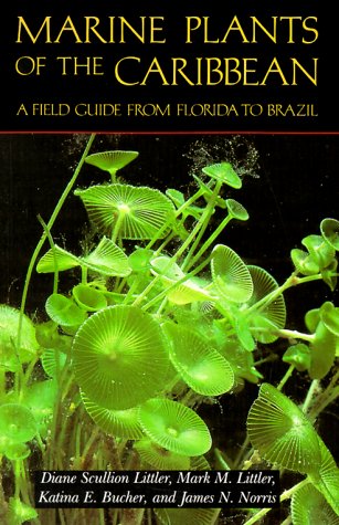 Marine Plants of the Caribbean. A Field Guide from Florida to Brazil,Used
