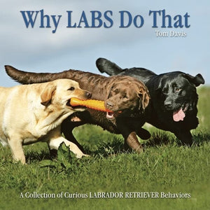 Why Labs Do That: A Collection of Curious Labrador Behaviors,Used