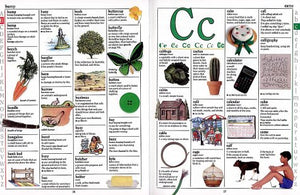 Children's Illustrated Dictionary,Used