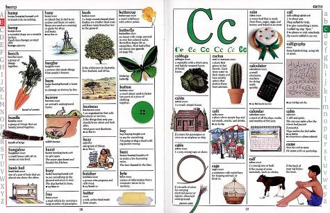 Children's Illustrated Dictionary,Used